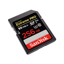 Extrim Pro SDHC Card 256GB 90MB/S CLASS 10