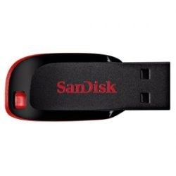 Sandisk 4GB USB Flash disk