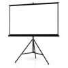 96" X 96" Portable Tripod Projector Projection Screen