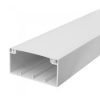 Tronic Compartment PVC Trunking 50mmx100mm