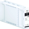 Epson T41F5 Singlepack UltraChrome XD2 Black Ink Cartridge (C13T41F540)