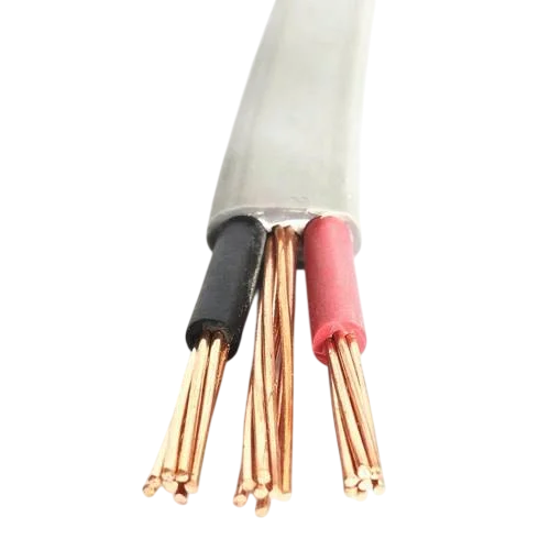 Coast Cable PVC Insulated Flat Twin and Earth Cable - 4.0mm²