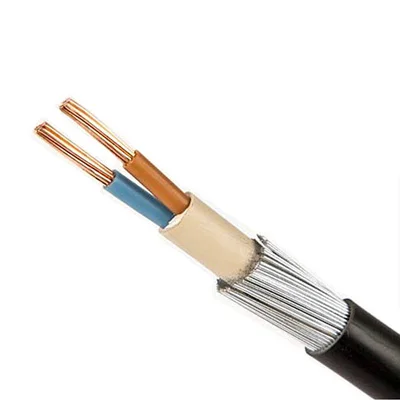 Eastern Cable 2 Core Armored Cable - 6mm²